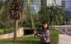 qvod快播在线观看